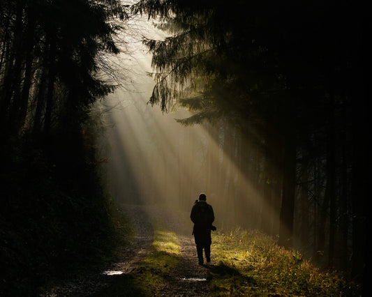 Reescribir las reglas: los que siguieron su propio camino